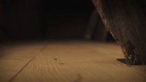 Mosquito net-Сетка от москитов (360p)