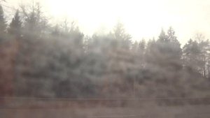 Солнечногорск, автобус 30, участок Вертлинская улица - Совхоз Солнечное