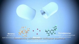 Литура Balance механизм действия