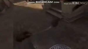 Мармок и Рататуй