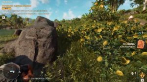 FarCry 6- Скриня з криптограмою в Баррига!