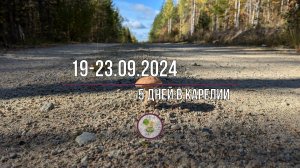 Карелия, сентябрь 2024г. Ягодный отпуск.