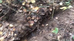 коп железа. мега длинные рельсы