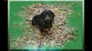 из фото в фотошопе