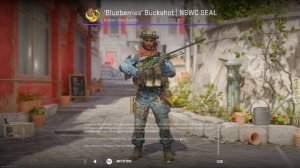 CS2 'Blueberries' Buckshot | NSWC SEAL - Counter-Strike 2 Agent Skin Showcase & Inspect