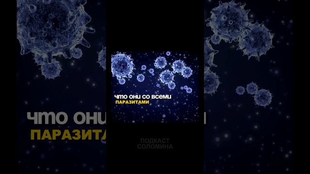 Теория голубей. Многие мужчины ведут себя, как голуби 🕊️

Они не показывают, что им больно