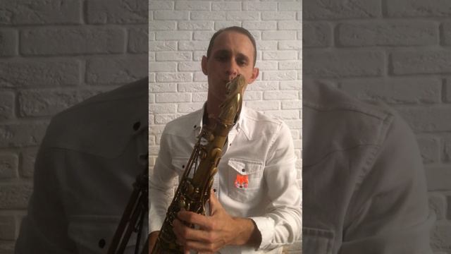 Stevie Wonder - Isnt She Lovely Sax Cover