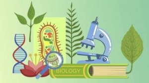 Биология 8 класс. Строение органов дыхания--