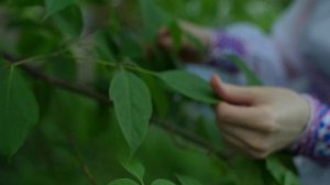 Сергей Переверзев (г. Москва)_День любви и верности (муз. Ж. Городжанова, сл. С. Панов)