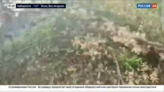 23.09.2023г Россия 24. Воложанин Александр позывной "Якудза" Доброволец .
Герой СВО. Одна семья