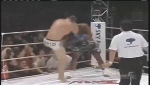 Федор Емельяненко vs Вандерлей Сильва