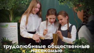 Интерактивная выставка "Знакомые насекомые"