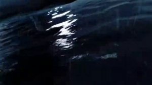 Вступительный ролик к прохождению игры Far Cray 1