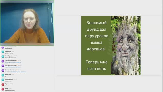 Магия растений. Травничество.