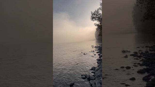Музыка души. Дарья Караваева