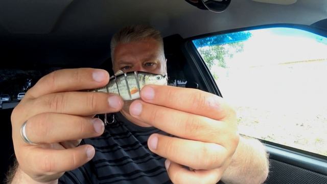 Свимбейт от Piscifun смотреть онлайн