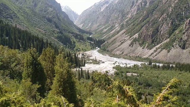 5 Бишкек, Ала Арча. Киргизия.