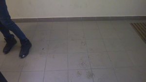 Грузопассажирский, пассажирский лифт V=1 м-с, Q=400, 630 кг (3881), музыкальный лифт Wellmaks