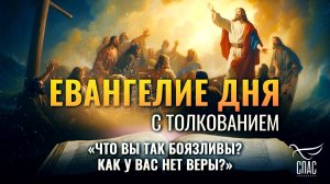 «ЧТО ВЫ ТАК БОЯЗЛИВЫ? КАК У ВАС НЕТ ВЕРЫ?» / ЕВАНГЕЛИЕ ДНЯ