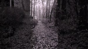 Тверь. Парк Текстильщиков. Останки высокоразвитой цивилизации