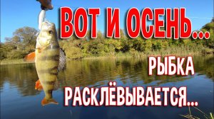 Вот и осень... Рыбка расклёвывается...