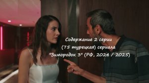 Содержание 2 серии (75 турецкая) третьего сезона сериала "Зимородок" (РФ, 2024 / 2025)