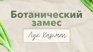 Рубрика «Ботанический замес» от Виринеи Никитиной #акварель #творчество #искусство #обучение