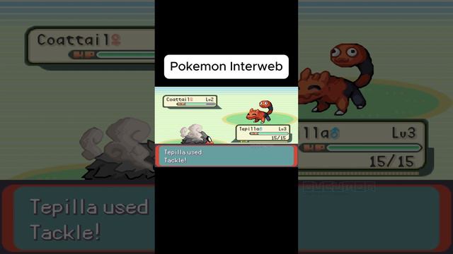 Pokemon Interweb  #ducumon #gba #pokemon #short #shorts #trending #pokemonemerald