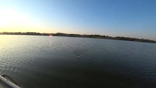 Одна вечерняя поклёвка. Но зато какая! смотреть онлайн