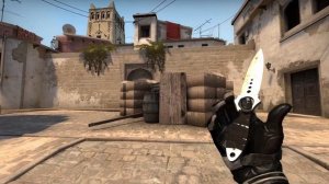 ★ Skeleton Knife Stained | CSGO Skin Showcase