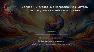 Основы нейропсихологии. Профпереподготовка. Лекция. Профессиональная переподготовка для всех!