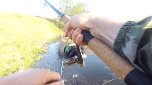 ЗАГИБЫ И ВСПЛЕСКИ|| Рыбалка на фидер в период нереста.