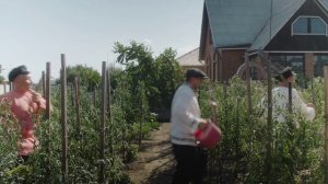 Михаил Кириллов и Музыкальная народная дружина (г. Красноярск)_Русский урожай (муз. и сл. М. Кирилло