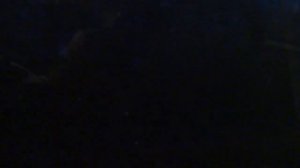 Видное, автобус 35, участок Калиновка - Петровское