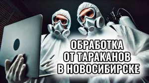 Обработка от тараканов в Новосибирске | Профессиональная дезинсекция