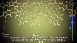 Литура Up механизм действия