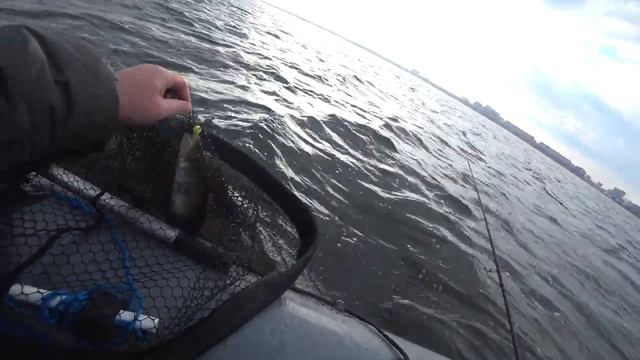 Закрытие сезона по судаку 2019 смотреть онлайн