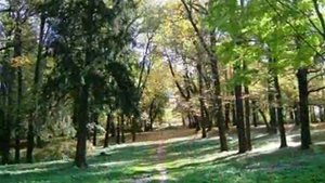 Парк в селе Смоленское