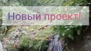 Нереальные планы!