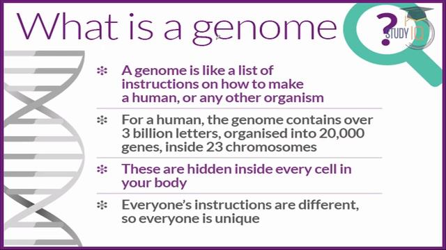 Scientists finally decoded the first complete Gap free Human Genome. Science & Tech | GS Paper 3