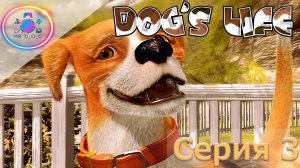 В ТАКОЕ ВЫ НЕ ИГРАЛИ ► Dog’s Life #3 #mrd_o_c  #DogsLife #ps2