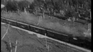 Новосибирские госпитали