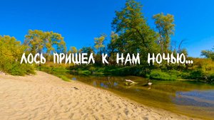 Закрытие сплавного сезона 2024 или лосиный сплав на Медведице