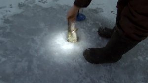 ЖЕРЛИЦ МОРЕ! А ЩУКА ВЫЙДЕТ? || Открытие по жерлицам сезона 2022-2023