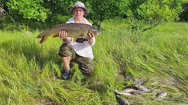 ЛОВЛЯ САЗАНА НА РЕКЕ ДОН В ВОЛГОГРАДСКОЙ ОБЛАСТИ. ВЗЯЛ ТРОФЕЙ!! ПОБИЛ ЛИЧНЫЙ РЕКОРД!!! смотреть онлайн