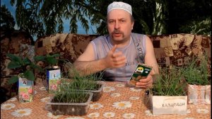 Что бы рассада не вытягивалась...