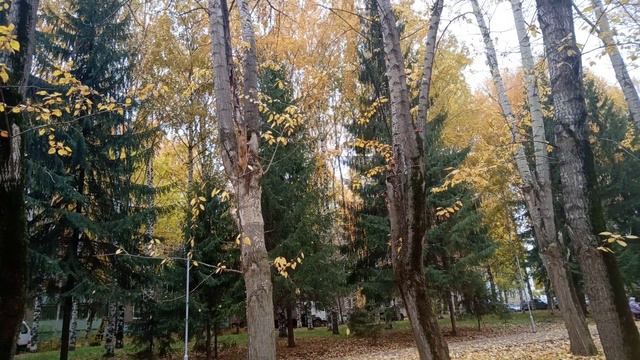 Осень авторское видео клип музыка из свободного доступа