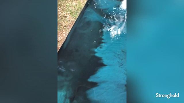 Meet our team members! Stronghold Spotlight Ep#3: Crystal смотреть онлайн