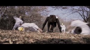 Best Girl Team Sword fight!! Amazing Ninja Athleticism! | Danger Dolls | Rina Takeda, Nan Seino