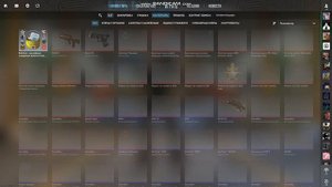 Открываю набор нашивок в кс 2